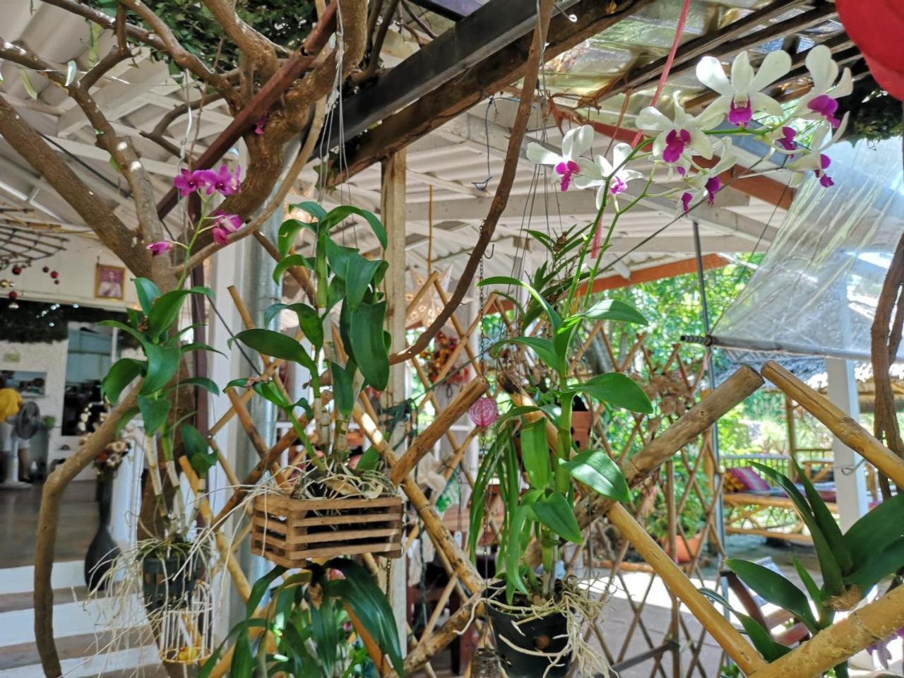 Hotel Patty'S Secret Garden Ko Lanta Zewnętrze zdjęcie